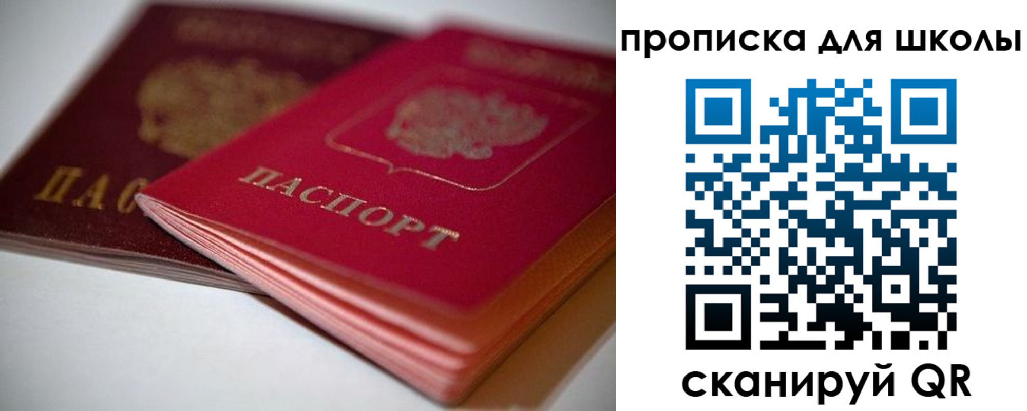 прописка для школы в Кольчугино